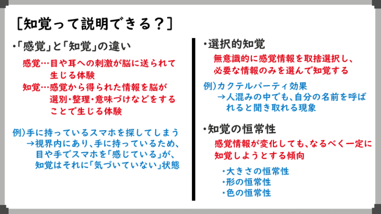 「知覚」って説明できる?|世界の“理解の仕方”をやさしく解説 | まいにち心理学 – こころの整え方のヒント