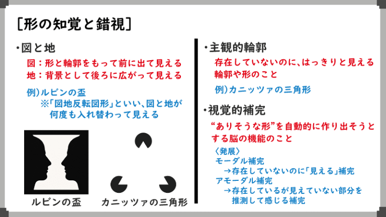 形の知覚と錯視のふしぎ|「見えているままに見えない」仕組み | まいにち心理学 – こころの整え方のヒント